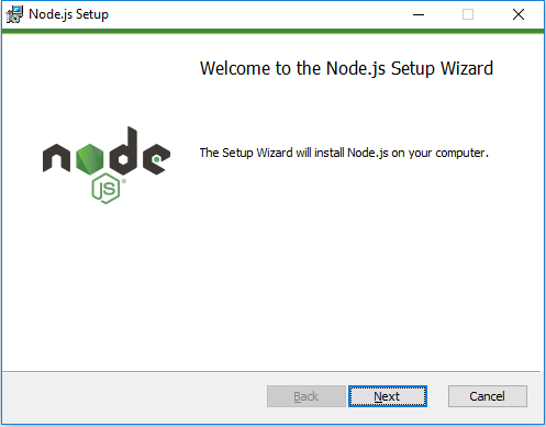 Node JS Setup Screen
