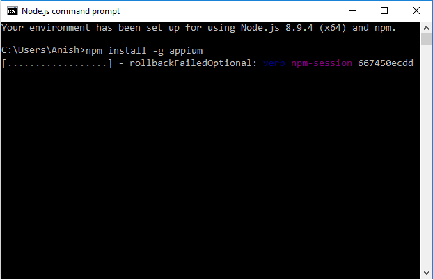 npm appium installation