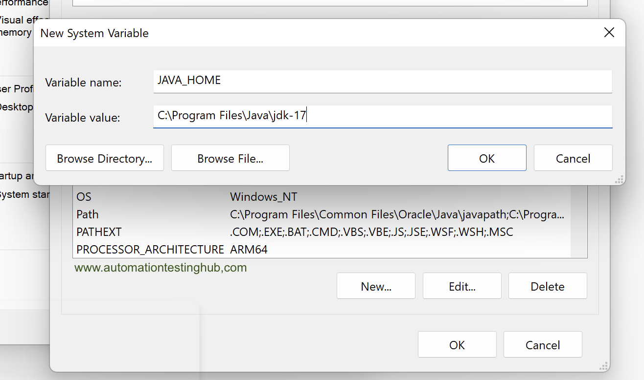 Set JAVA_HOME variable and its path