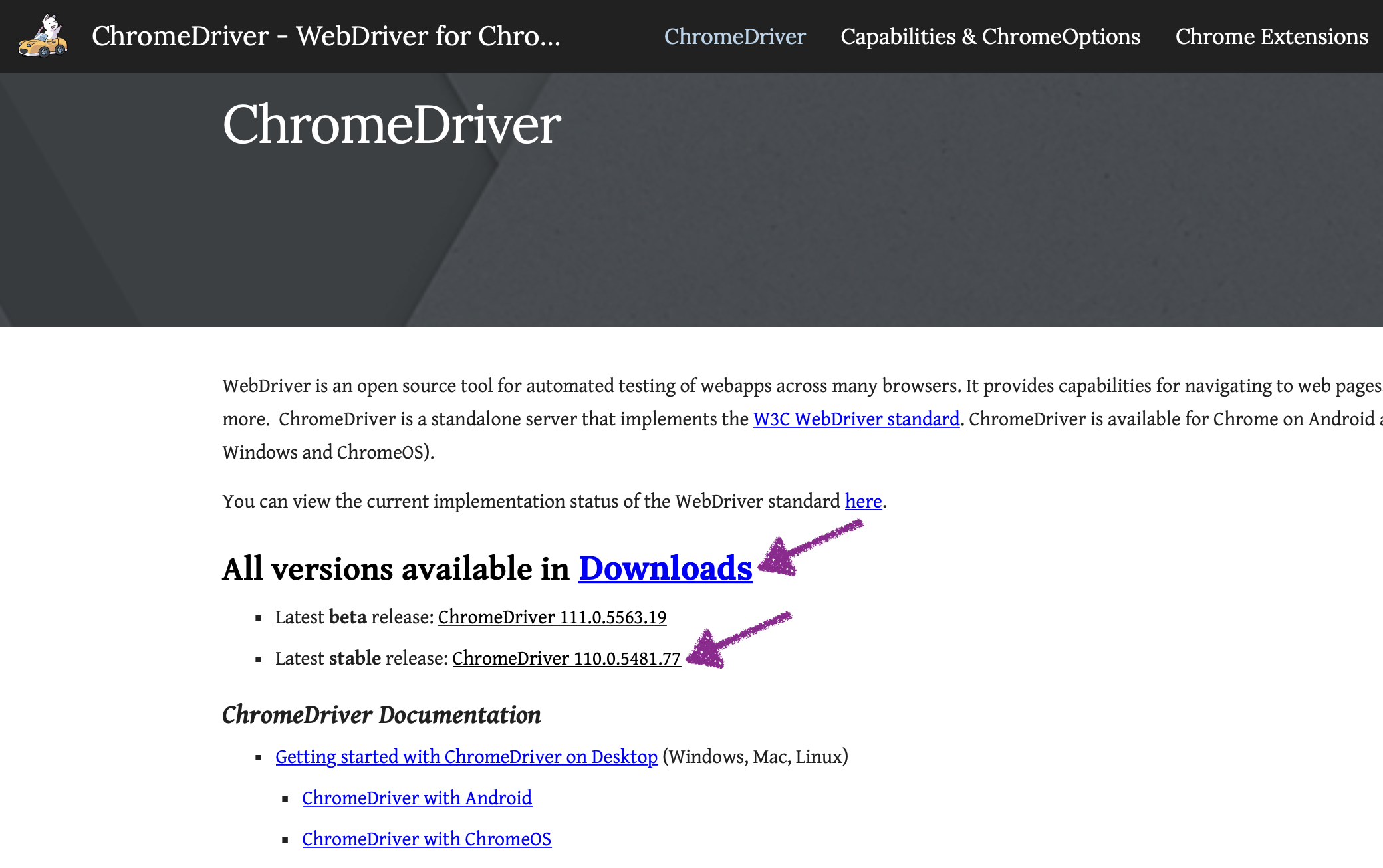 How to download Chrome Driver for Selenium AutomationTestingHub