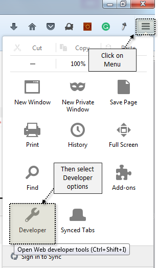 Firefox select Menu and then Developer option