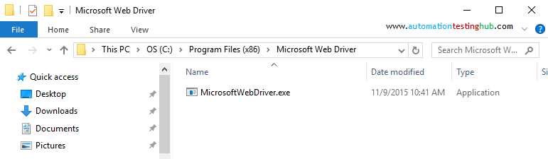 Microsoft Web Driver