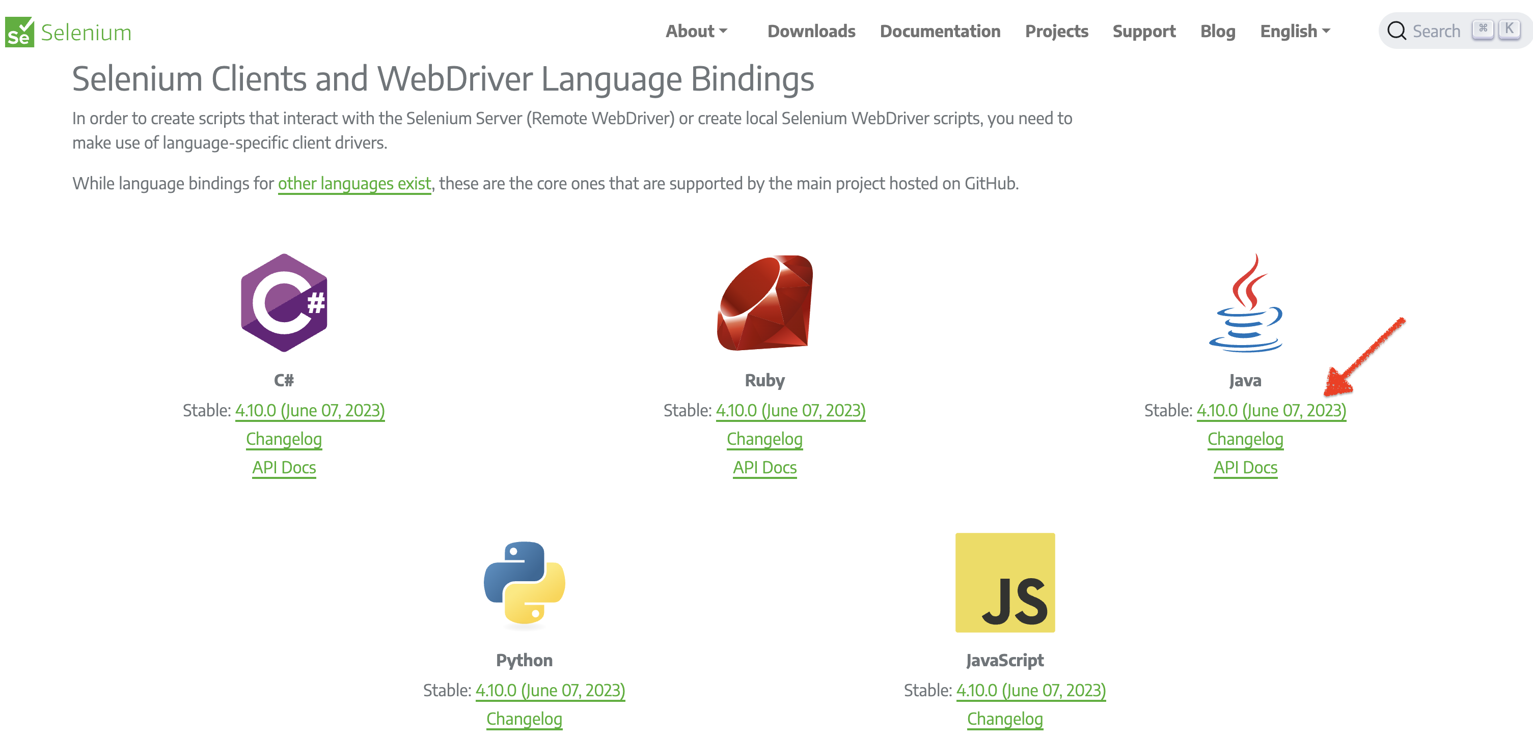 Selenium WebDriver 3.9.1 (Java)
